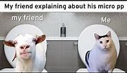Huh Cat And Talking Goat Meme
