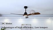 dearnow 52" Wood Ceiling fan, (with light with remote control) with 3 solid wood blades, wooden ceiling fan for indoor and outdoor use, suitable for living room, dining room, patio and more.