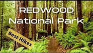 Redwood National Park | The 13 Best Hikes