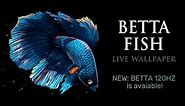 Betta Fish Live Wallpaper FREE v1.0