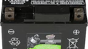 Interstate Batteries YTX4L-BS 12V 3Ah Powersports Battery 50CCA AGM Rechargeable Replacement for BRP, Honda, KTM Motorcycles, Scooters, ATVs (CYTX4L-BS)