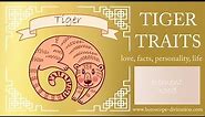 Chinese Zodiac Tiger Personality ━ Tiger Traits & Feng Shui 虎
