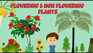 Flowering and non flowering plants | Plant life cycle | Video for Kids