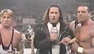 Bret Hart/Shawn Michaels "Sunny Days" Comment