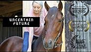 Uncertain Future - The Rocky Mountain Horse