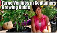 Growing Large Veggies/Fruit in Containers/Complete Guide with Digital Table of Contents
