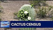 Cactus Census at Phoenix park | Drone Zone