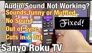 Sanyo Roku TV: Sound & Audio Not Working? Out of Sync, Delayed, No Sound, etc (FIXED!)