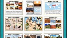 Desert Biome Characteristics Animal Plant Adaptations Information Cards