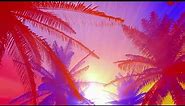 1 Hour Visual In Full HD / Tropical Sunset Background Loop