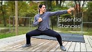 Combining Stances: Martial Arts for Beginners