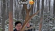 Big Pennsylvania elk shed antler! #shedhunting #antlers #elk