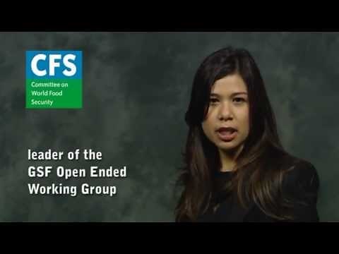 The Global Strategic Framework for Food Security and Nutrition (GSF)