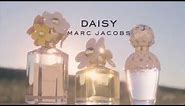 Marc Jacob Daisy Trio Fragrance Collection | ULTA Beauty