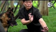 Fujian Dishu Fist - Unique Combat Techniques Inspired by Dogs | Kung Fu