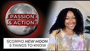 New Moon November 13th - 5 Things to Know ✨