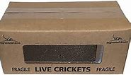 500 Live Acheta Crickets (Medium (1/2"))