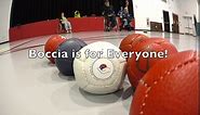 Handi Life Sport | Superior Shine Boccia Set | 13 Handsewn Boccia Balls | Medium-Hard Balls | Adaptive Sports