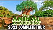 Disney's Animal Kingdom 2023 - Walkthrough & Rides at Walt Disney World [4K]