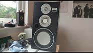 Technics SB X300 Vintage Speakers - 34 Year Old Foam!