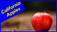 Growing Apples in the Garden in California (Worth it?)
