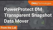 How to use Transparent Snapshot Data Mover (TSDM) with PowerProtect Data Manager 19.9