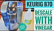HOW TO DESCALE WITH VINEGAR Keurig B70 Platinum Brewing System K-Cup Coffee Maker
