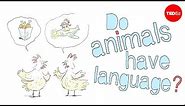 Do animals have language? - Michele Bishop
