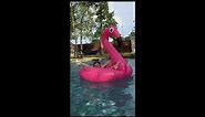 Giant Inflatable Pink Flamingo Pool Float