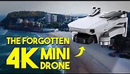 The Forgotten 4K Mini Drone - Is DJI Mini 2 Still Worth It In 2024?