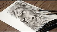 How to Draw a Realistic Lion Head Step by Step | Animals Drawing Tutorial