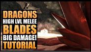 Shroud of the Avatar - Melee Dragon Battles 2!
