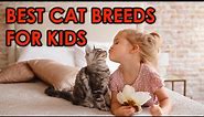 10 Best Cat Breeds For Kids You Don't Want To Miss