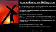 Song of Solomon 7 KJV | Admiration by the Bridegroom