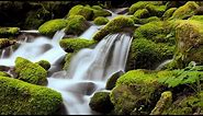 8 HRS Relaxing Screensaver in Slow Motion + Music - The Beauty of Oregon Waterfalls in HD