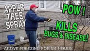 🔴 DORMANT SPRAY FOR APPLE TREES: You will learn when and how to spray your apple tree.