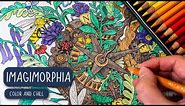 Relaxing Coloring Of The Compass From Imagimorphia 🧭