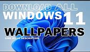 Download Windows 11 All Default Wallpapers On Your Pc | TechWiz Hub
