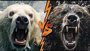 Polar vs Grizzly - Which Bear is the King?