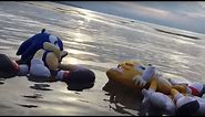 Summer Beach Adventure! - Sonic Plush Toy Cartoon