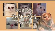 Roblox Cute Cat Decals || aueie