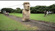 Easter Island moai 'walked'