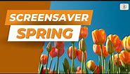 Celebrate the Renewal of Spring | 1 HOUR of HD Wallpapers | Shift every 15 seconds