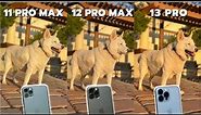 iPhone 13 Pro vs iPhone 12 Pro Max vs iPhone 11 Pro Max Camera Comparison