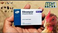 Vibramycin | Doxycycline Hyclate for Poultry Birds | Doxycycline for Chickens | Dr. ARSHAD