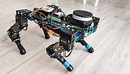 Walking quadruped robot - testing inverse kinematics and collision avoidance