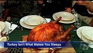 Don't blame the turkey. Here's what experts say is really behind your Thanksgiving food coma