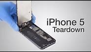 iPhone 5 Teardown - Step by step complete disassembly directions