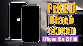 iPhone 12 Black Screen | Screen Black But Still Working | Screen Won't Turn On – Quick How to Fix
