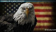 Facts About the Bald Eagle as an American Symbol: Lesson for Kids